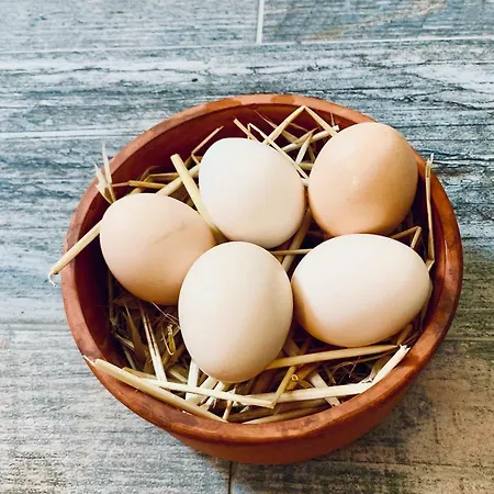 Vapori Alloggio in famiglia