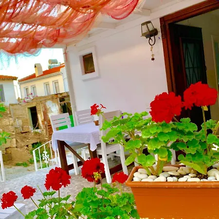 Vapori بوزجادا